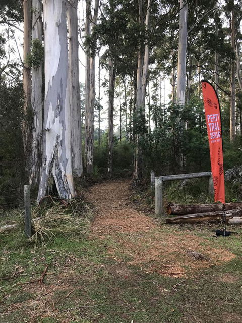 Forest Lodge Resort - Accommodation Cooktown 28