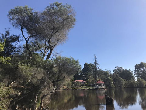 Forest Lodge Resort - Accommodation Cooktown 36