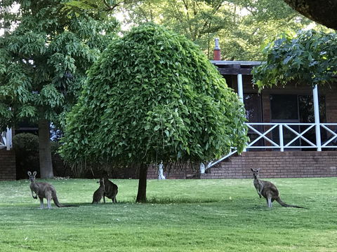 Forest Lodge Resort - Accommodation Cooktown 1