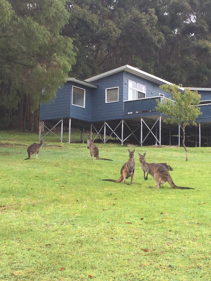  Accommodation Cooktown