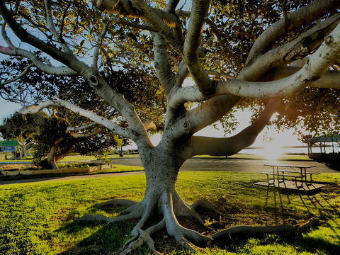 Lazy Lobster Holiday Units & Chalets - Accommodation Cooktown 34