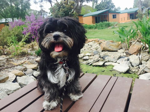 Armidale Tourist Park - Accommodation Cooktown 32
