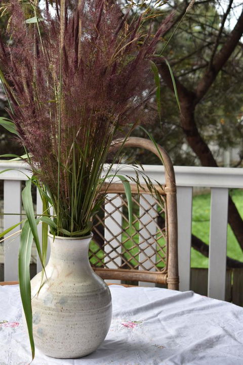 Lavender Cottage - Accommodation Cooktown 22