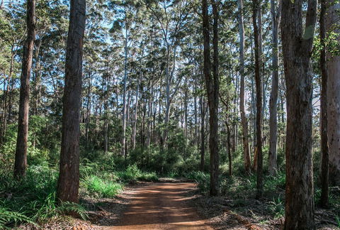 The Floating Forest - Accommodation Cooktown 37