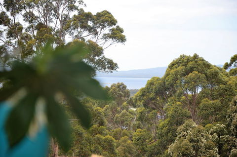 The Floating Forest - Accommodation Cooktown 8