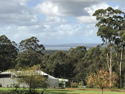 The Floating Forest - Accommodation Cooktown 2