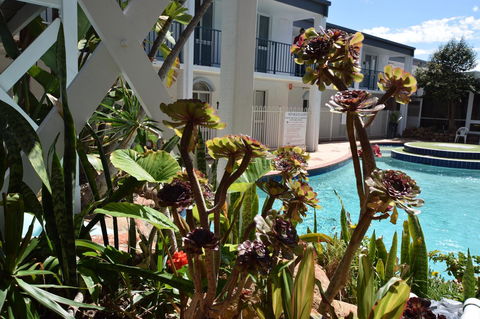 West Beach Lagoon 220 Stylish And Cozy - Accommodation Cooktown 18