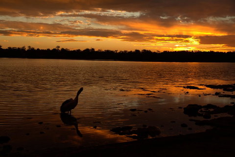Dungowan Holiday Accommodation - Accommodation Cooktown 31