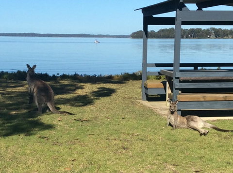 Dungowan Holiday Accommodation - Accommodation Cooktown 33
