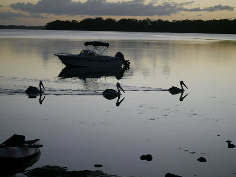 Dungowan Holiday Accommodation - Accommodation Cooktown 41