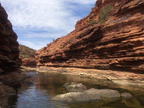 Kalbarri Blue Ocean Villas - Accommodation Cooktown 7