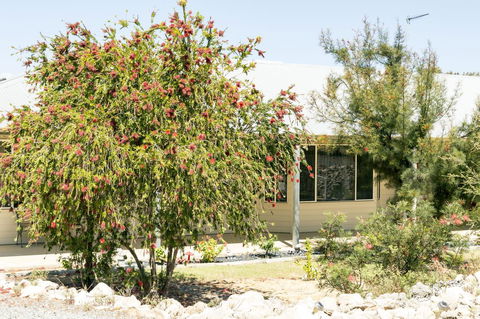 The Heights Bed & Breakfast - Accommodation Cooktown 15
