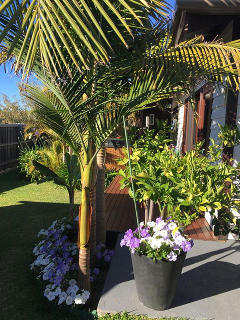 Bella Bali Gardens - Accommodation Cooktown 23