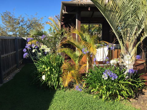Bella Bali Gardens - Accommodation Cooktown 10
