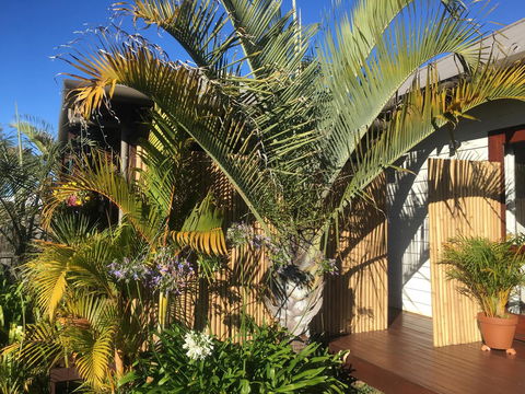 Bella Bali Gardens - Accommodation Cooktown 7