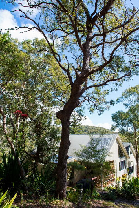 Nelson Bay Bed & Breakfast - Accommodation Cooktown 42