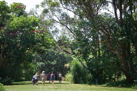 Ingenia Holidays Byron Bay - Accommodation Cooktown 11