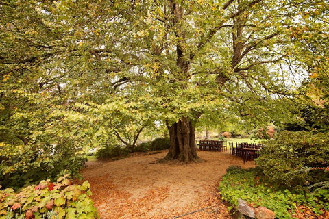 Nesuto Leura Gardens (formerly Waldorf Leura Gardens Resort) - Accommodation Cooktown 1