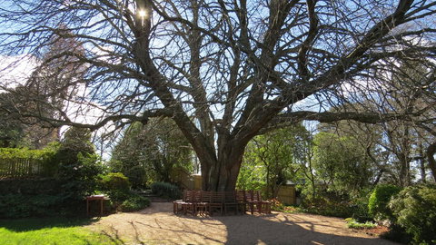 Nesuto Leura Gardens (formerly Waldorf Leura Gardens Resort) - Accommodation Cooktown 3