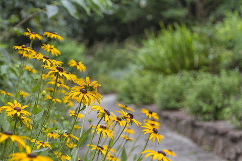 Nesuto Leura Gardens (formerly Waldorf Leura Gardens Resort) - Accommodation Cooktown 16