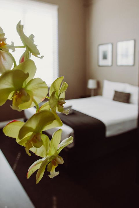 Crossroads Hotel - Accommodation Cooktown 11