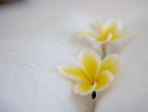 Cossies By The Sea - Accommodation Cooktown 16