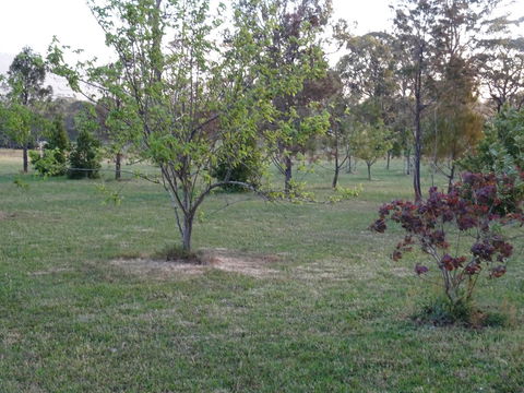 Romanz In The Valley (Luxury B&B) - Accommodation Cooktown 32