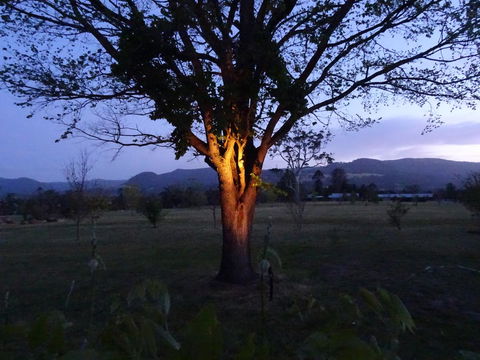 Romanz In The Valley (Luxury B&B) - Accommodation Cooktown 36