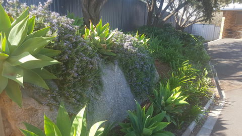 Almond Inn - Accommodation Cooktown 27