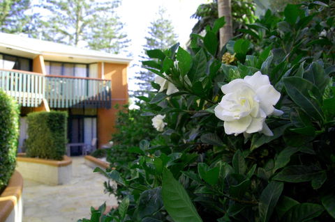 The Crest Byron Bay - Accommodation Cooktown 29