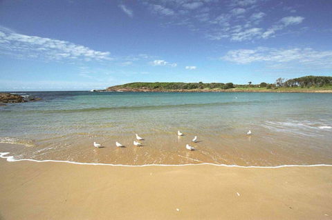 On The Beach Getaway - Accommodation Cooktown 12