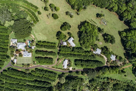 Byron Hinterland Villas - Accommodation Cooktown 17