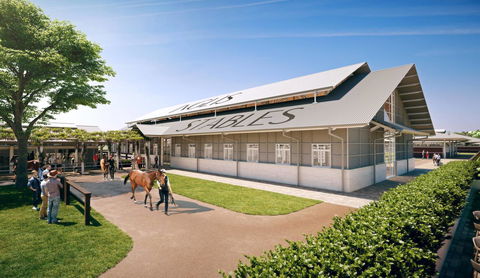 The William Inglis Mgallery - Accommodation Cooktown 39