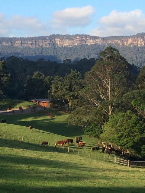 Amaroo Valley Springs - Accommodation Cooktown 0