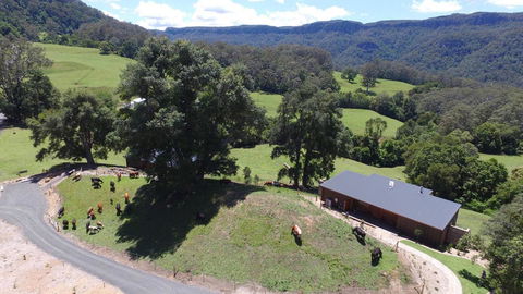Amaroo Valley Springs - Accommodation Cooktown 18
