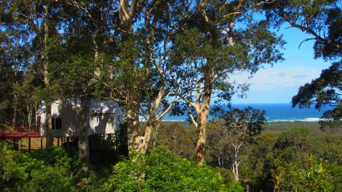 Bundle Hill Cottages - Accommodation Cooktown 7