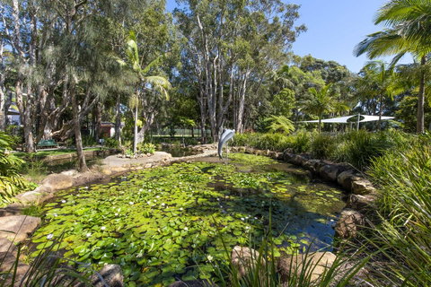 Flynns Beach Resort - Accommodation Cooktown 8
