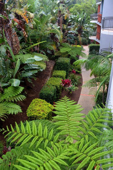 Flynns Beach Resort - Accommodation Cooktown 17