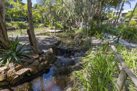 Flynns Beach Resort - Accommodation Cooktown 13