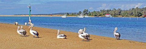 Pelican Motor Inn - Accommodation Cooktown 29