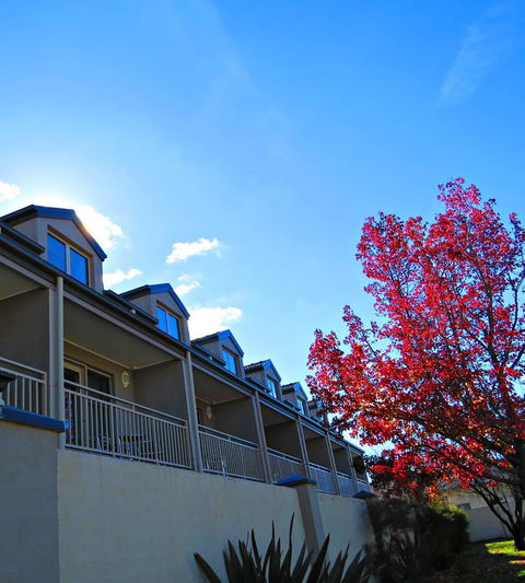 Best Western Plus Goulburn - Accommodation Cooktown 9