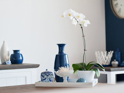 Blue View @ Fingal Bay - Accommodation Cooktown 8