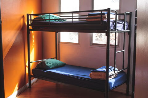 Mad Monkey Kings Cross - Accommodation Cooktown 29