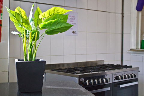 Mad Monkey Kings Cross - Accommodation Cooktown 19