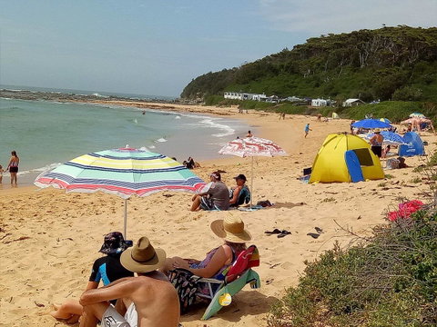 Blue Lagoon Beach Resort - Accommodation Cooktown 16
