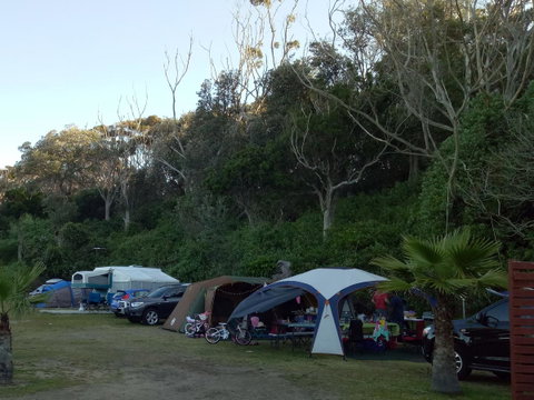 Blue Lagoon Beach Resort - Accommodation Cooktown 19