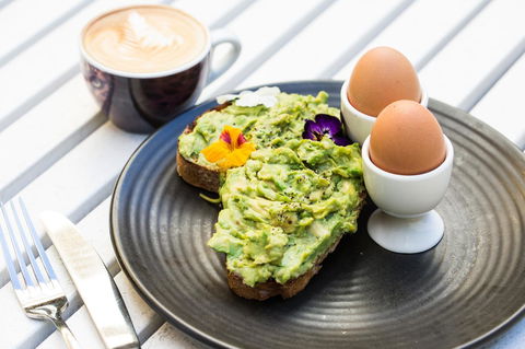 Holiday Inn Sydney Potts Point - Accommodation Cooktown 7