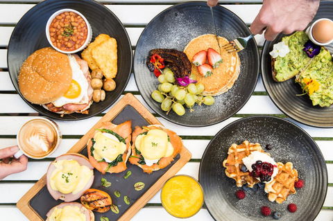 Holiday Inn Sydney Potts Point - Accommodation Cooktown 13