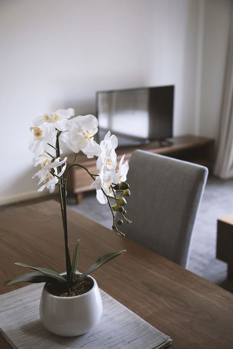 Quest Wagga Wagga - Accommodation Cooktown 11