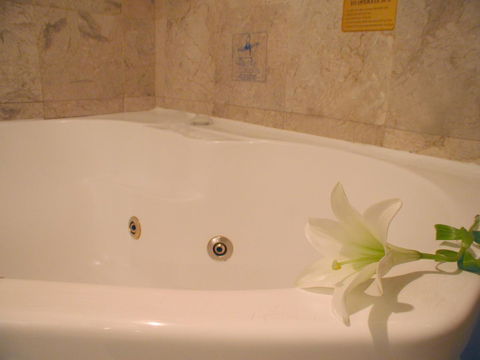 Novotel Sydney Brighton Beach - Accommodation Cooktown 11